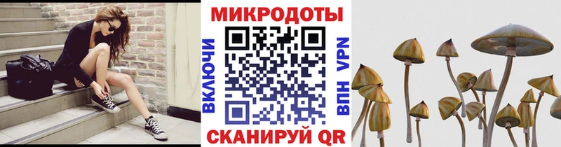 Купить где  Оха  Галлюциногенные грибы MAGIC MUSHROOMS 